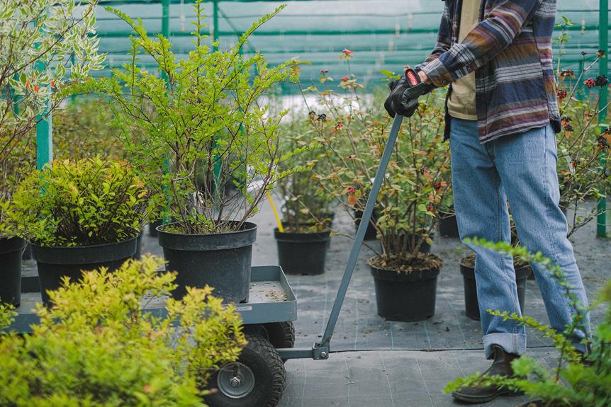 powerful tools for landscaping