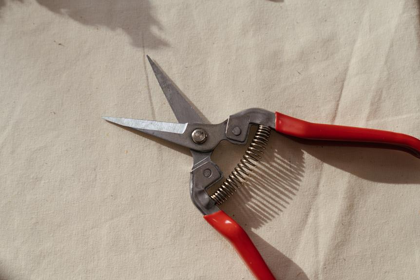 pruning tool for cutting