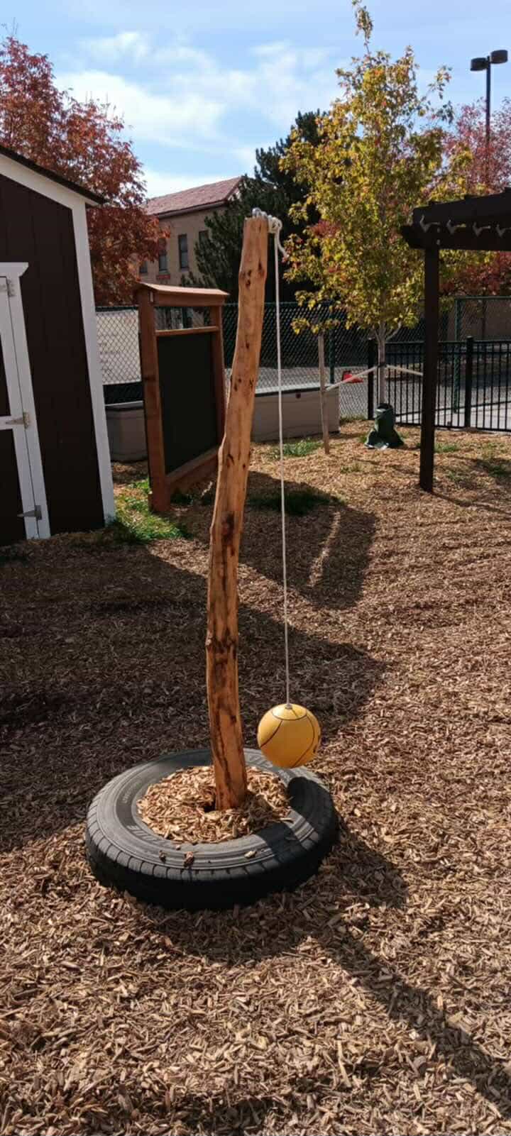 international school of denver tree cutting