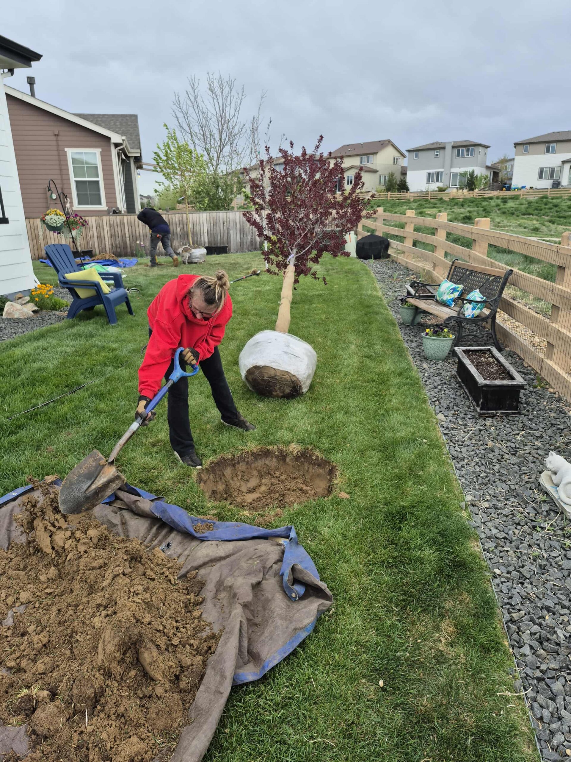 Digging a hole for tree planting.