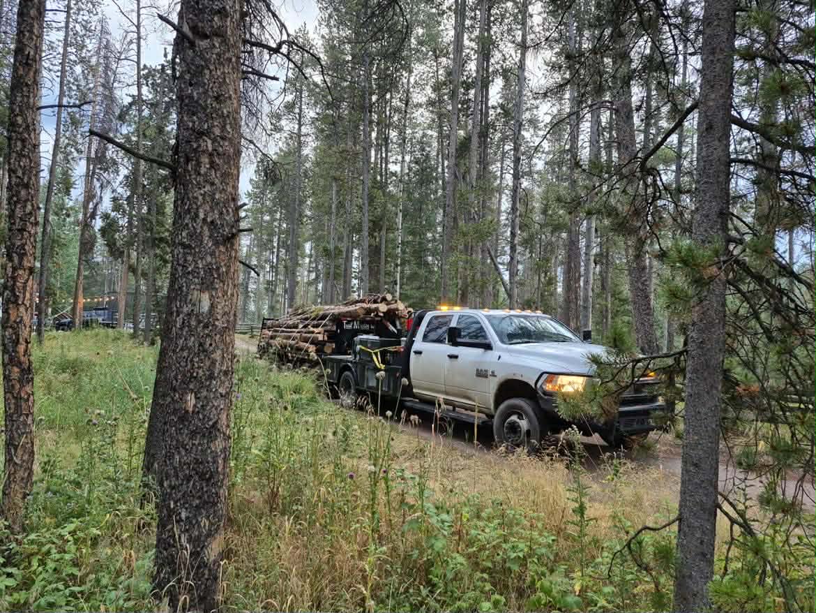 Tree Service Denver LLC