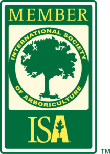 ISA Member