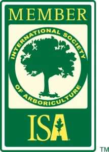ISA member