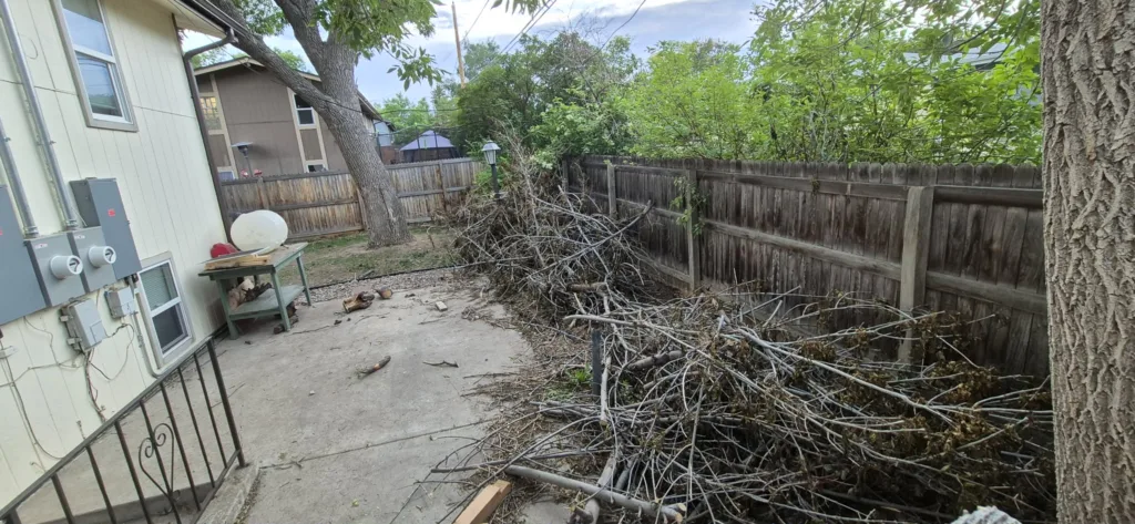 Branches staged for haul-away during full cleanup on a Denver tree service job