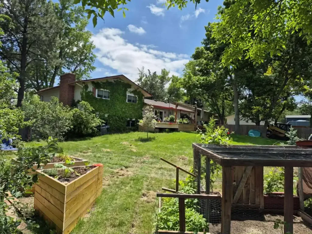 Cleared Denver backyard following tree service work