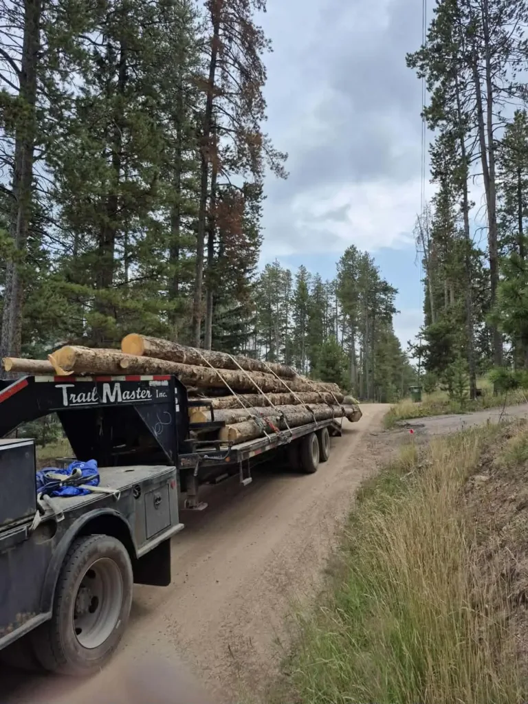 Log trailer loaded during Colorado forestry fire-mitigation work