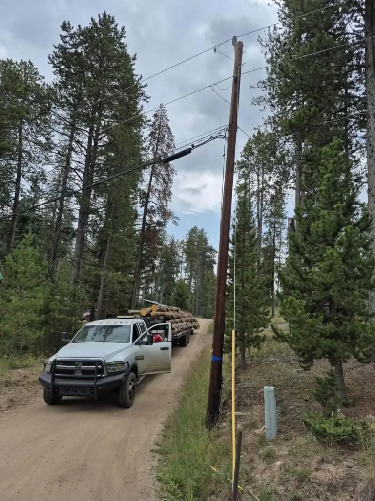 Hauling pine logs from a forested Colorado property