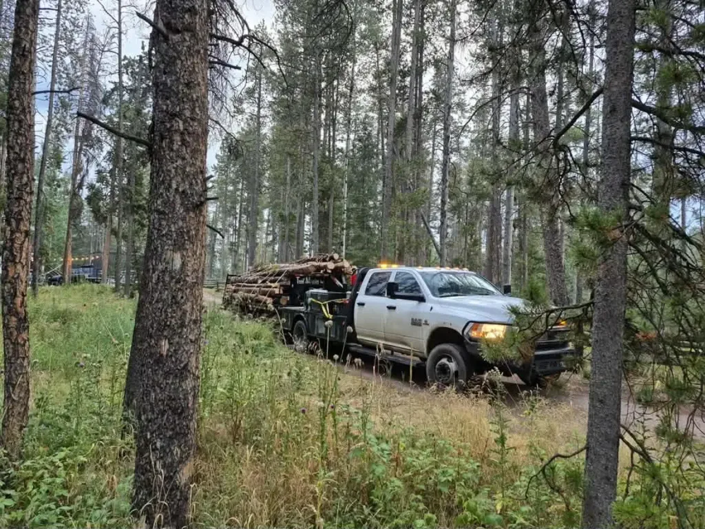 Loaded log truck on a Colorado mountain lot-clearing job