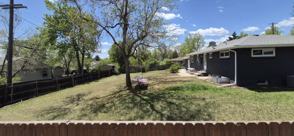 Mature shade tree in a Denver backyard evaluated before professional tree care