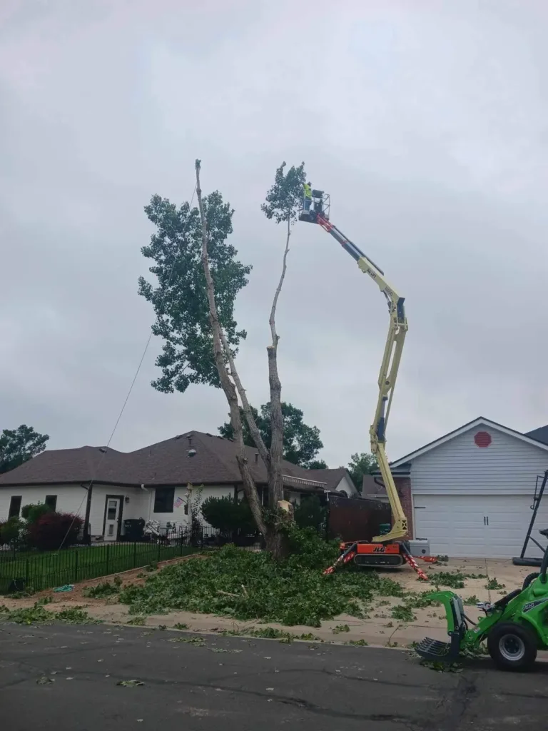 Storm-damaged tree removal from a Denver residential yard using an aerial lift
