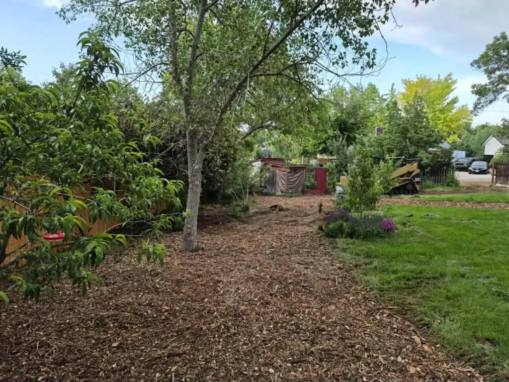 Mulched, cleaned yard after tree removal by Tree Service Denver